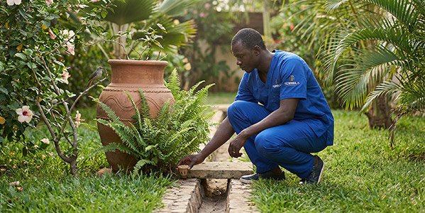 TRAITEMENT PRÉVENTIF ÉCOLOGIQUE – Protection Longue Durée (1 mois)